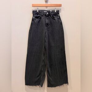 Zara Denim Wide Leg Jean